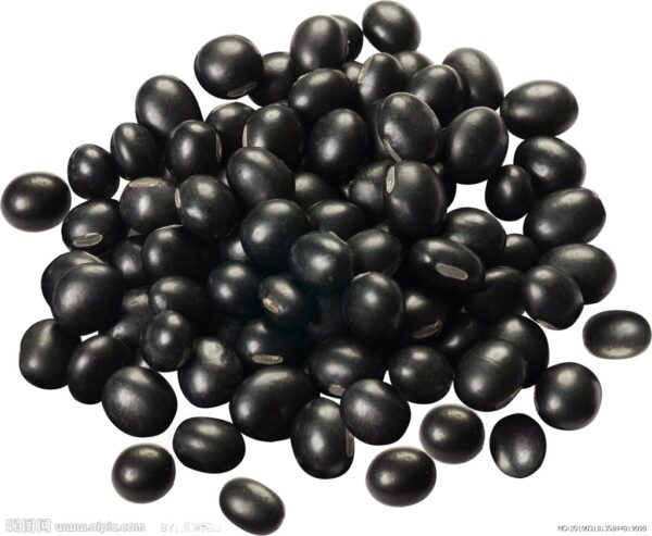 FOOD FLAVOR  - BLACK BEAN FLAVOR