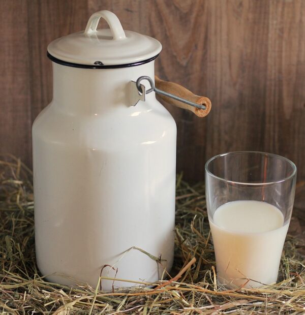 FLAVORS - FRESH MILK FLAVOUR