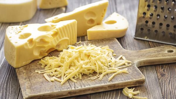 FLAVORS - CHEESE FLAVOUR