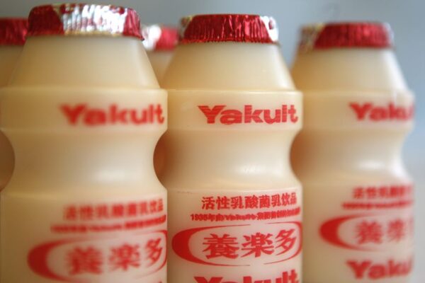 FOOD FLAVOR - YAKULT FLAVOR