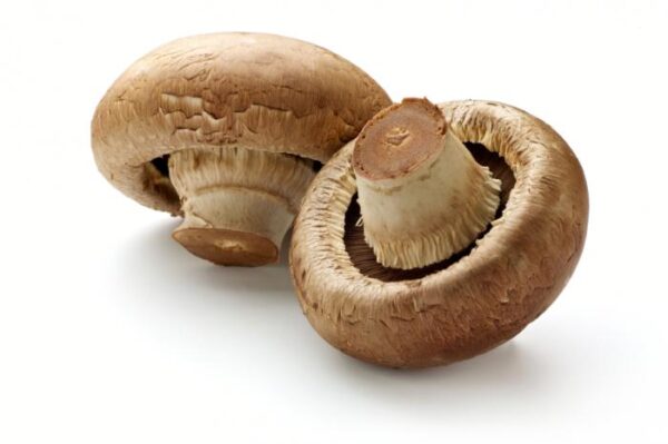 FOOD FLAVOR - MUSHROOM FLAVOR
