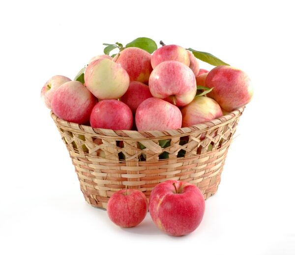 BỘT TÁO