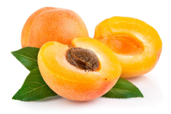 Appricot Squash