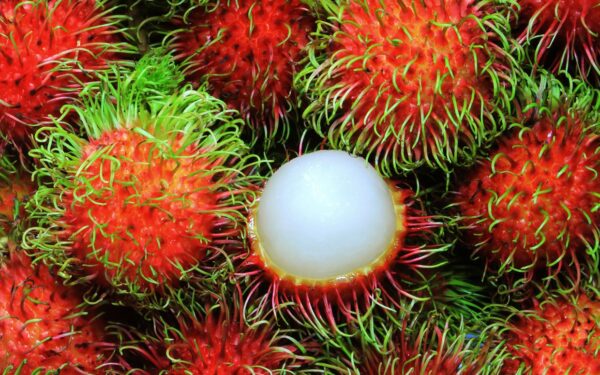 HƯƠNG LIỆU THỰC PHẨM - HƯƠNG CHÔM CHÔM