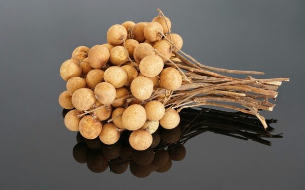 Longan Squash