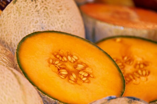 Melon Squash