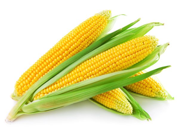 FOOD FLAVOR - SWEET CORN FLAVOR