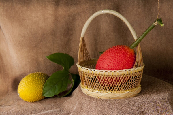 FOOD FLAVOR - GAC FRUIT FLAVOR