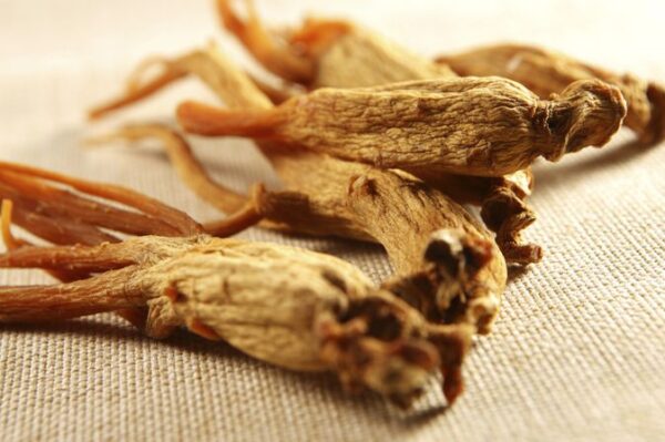 FOOD FLAVOR - RED GINSENG FLAVOR