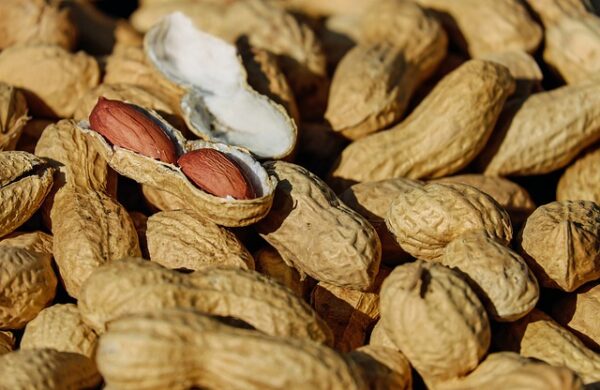 FOOD FLAVOR - PEANUT FLAVOR