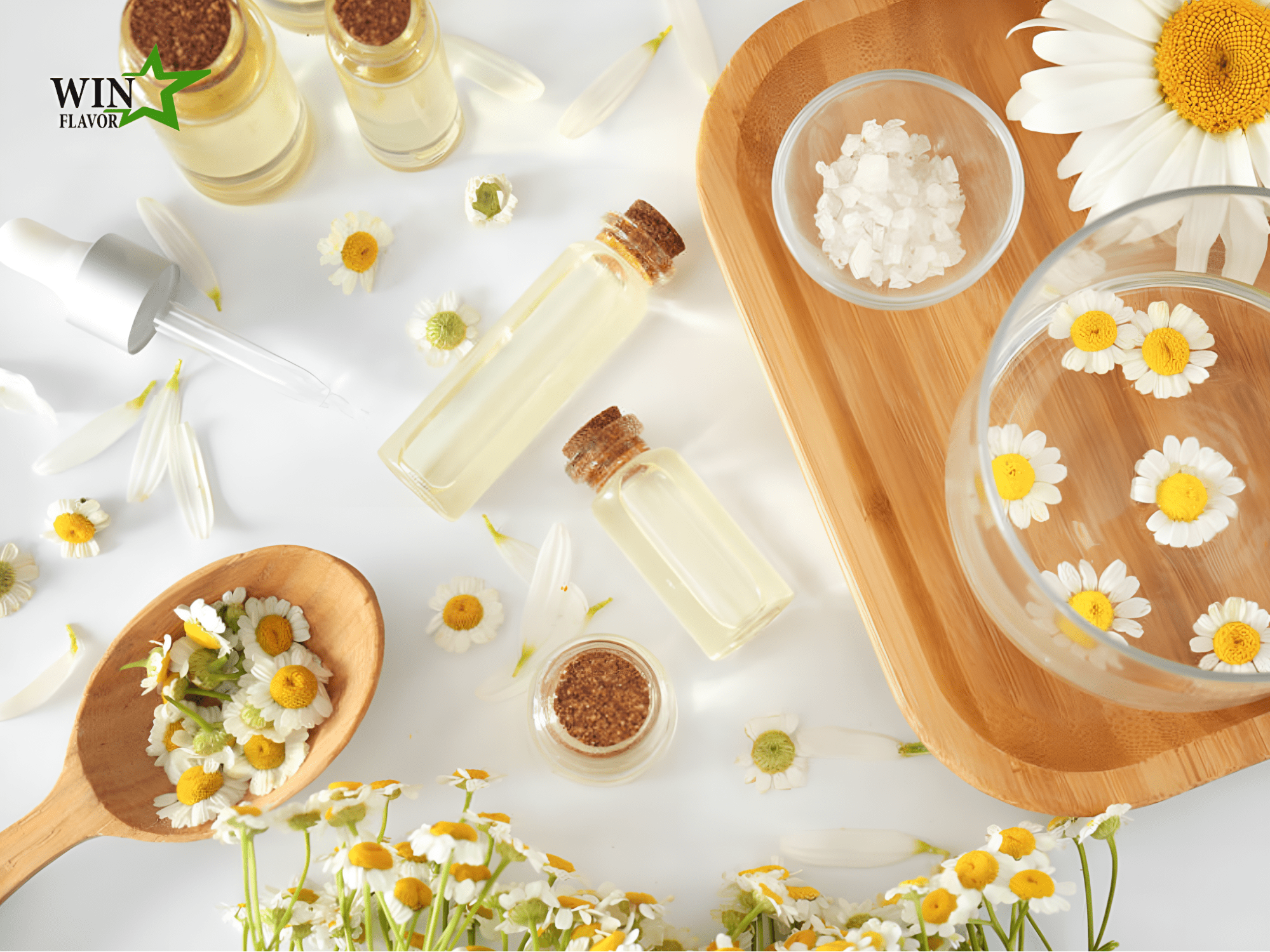 Hương hoa cúc được chiết xuất từ 100% hoa cúc tươi