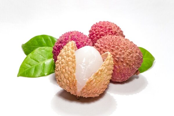 Lychee Squash
