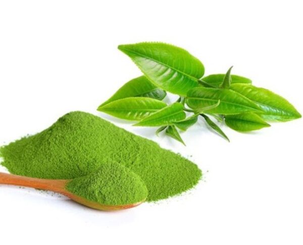 HƯƠNG LIỆU THỰC PHẨM - HƯƠNG TRÀ XANH DẠNG BỘT
