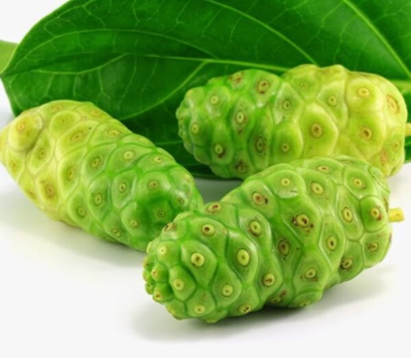 Food Flavoring - Noni Flavor