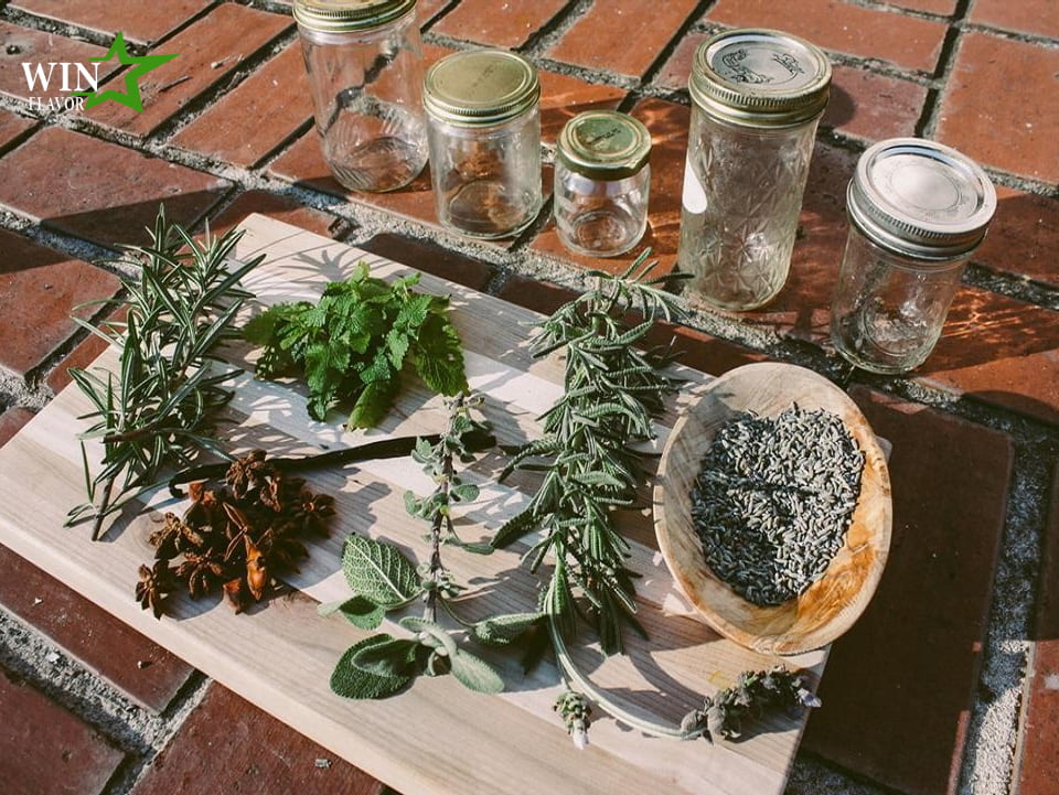 nhung-ung-dung-huong-thao-moc