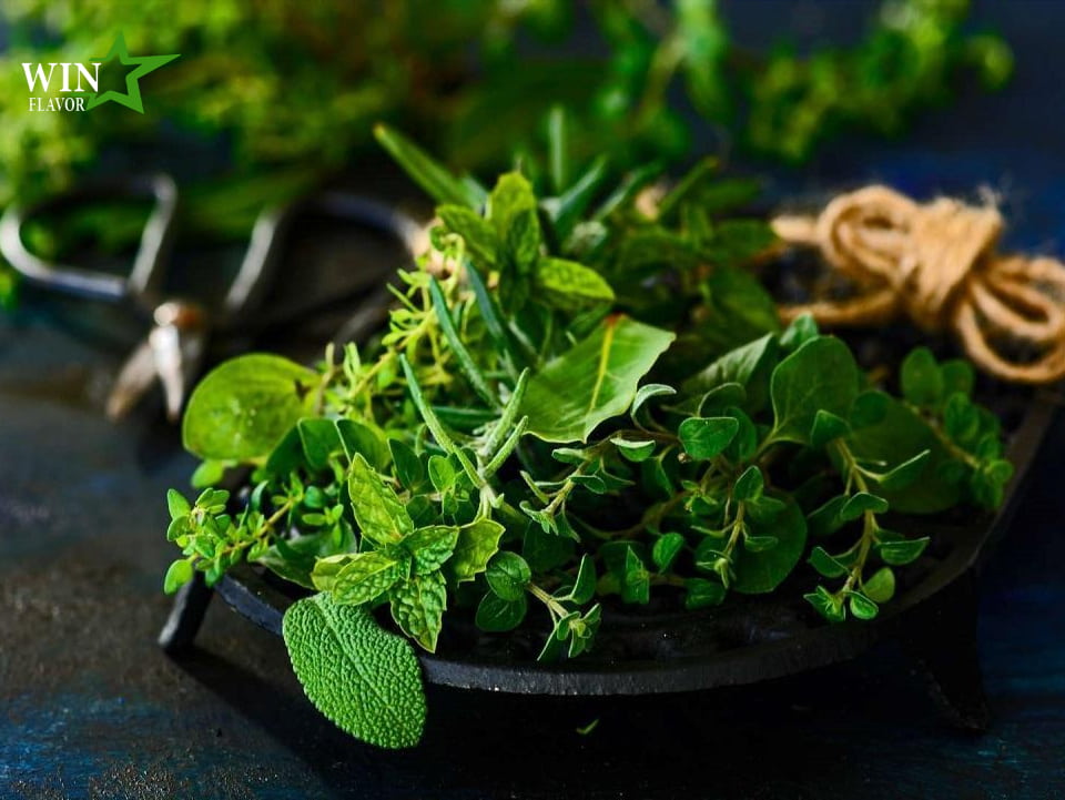 win-flavor-don-vi-cung-cap-huong-thao-moc