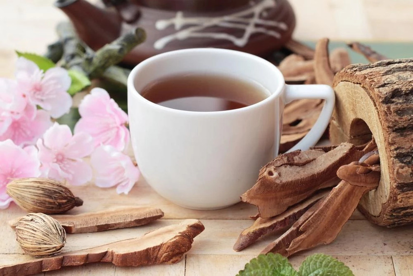 chiết xuất nấm dược liệu tự nhiên