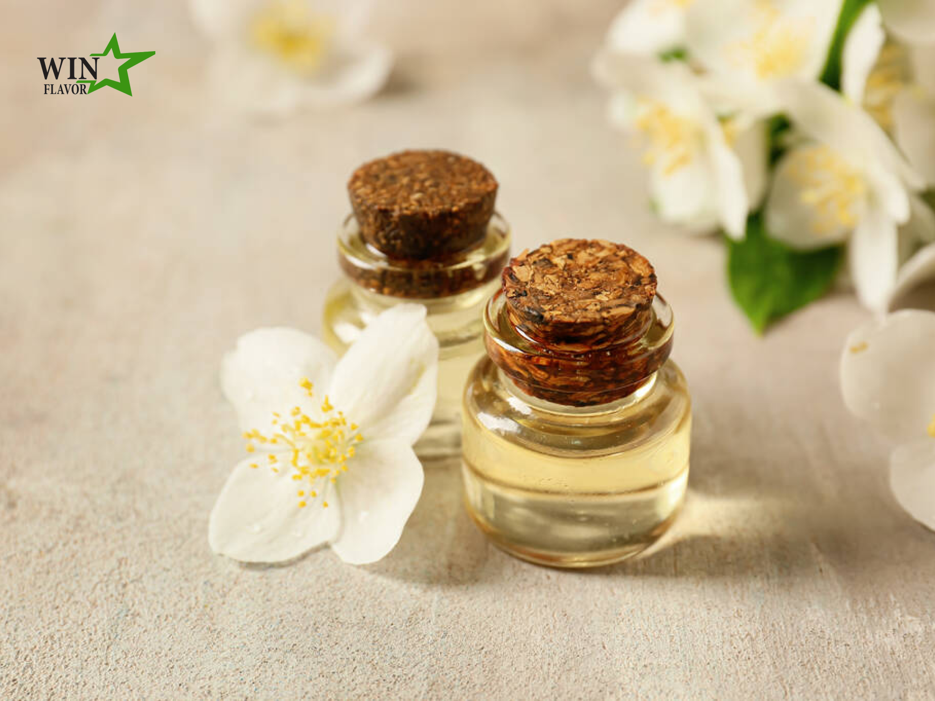 hương hoa nhài từ thiên nhiên