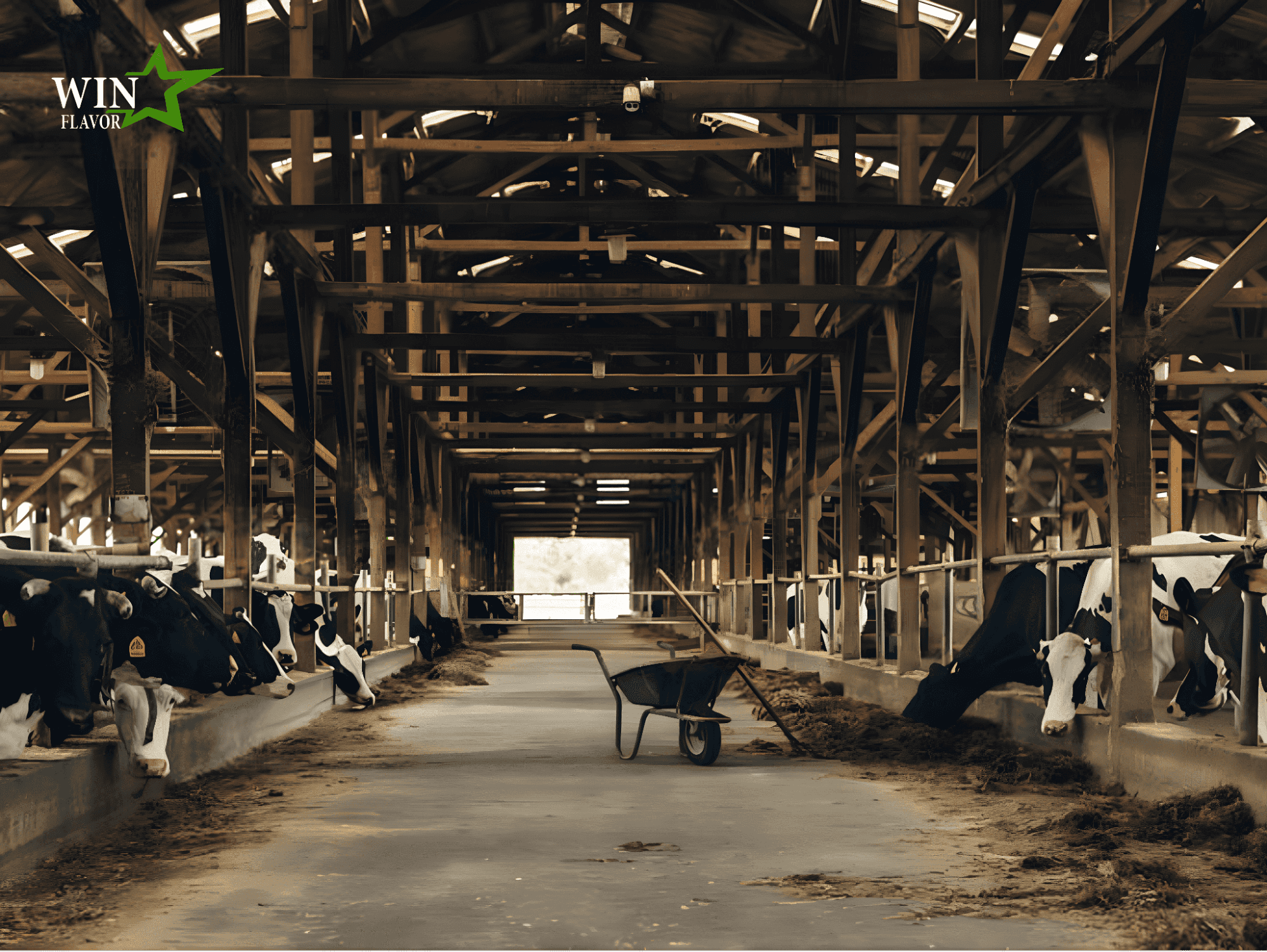 Hương liệu thực phẩm được ứng dụng trong chế biến thức ăn cho chăn nuôi