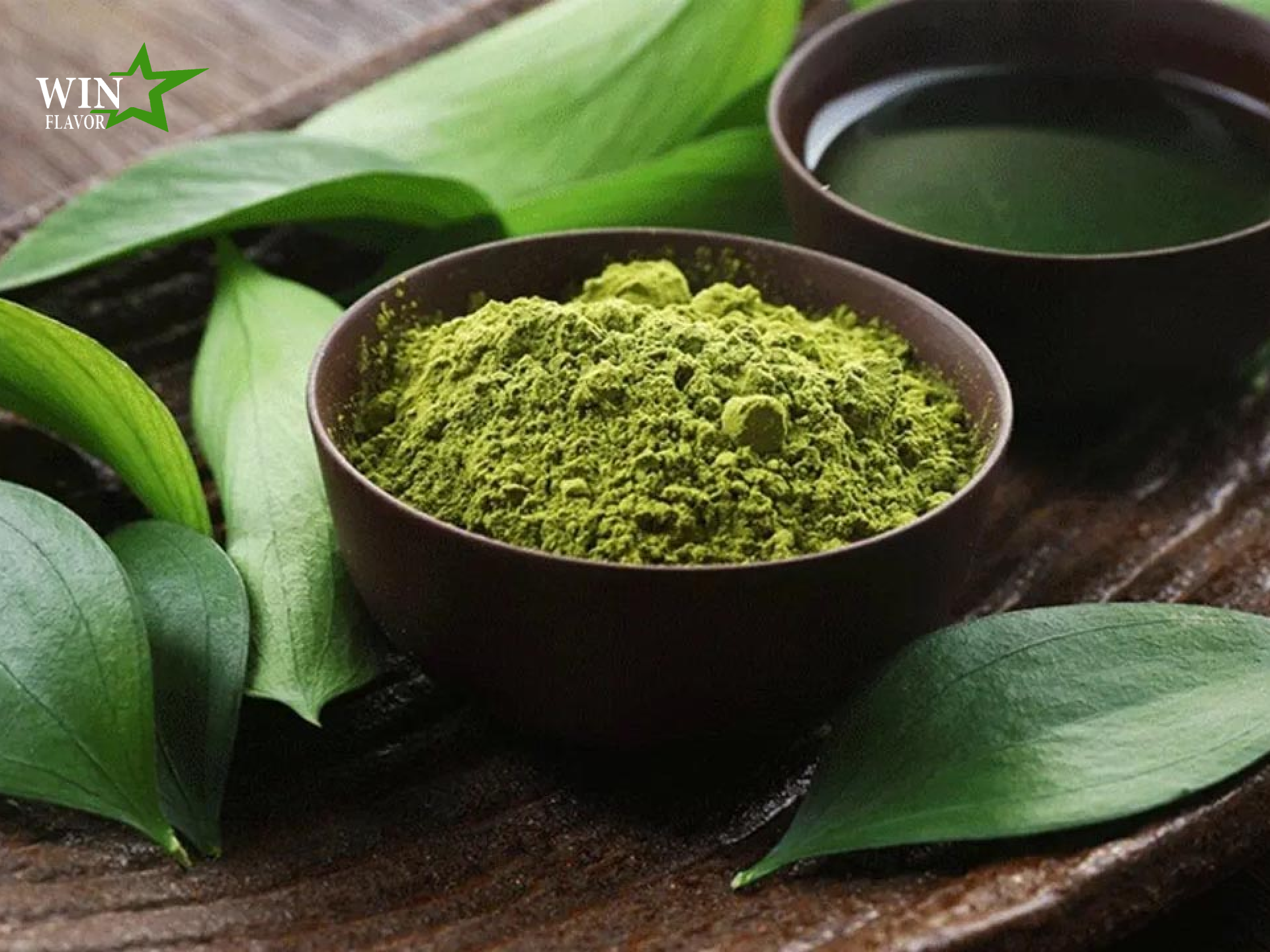 chiết xuất trà xanh dưới dạng bột