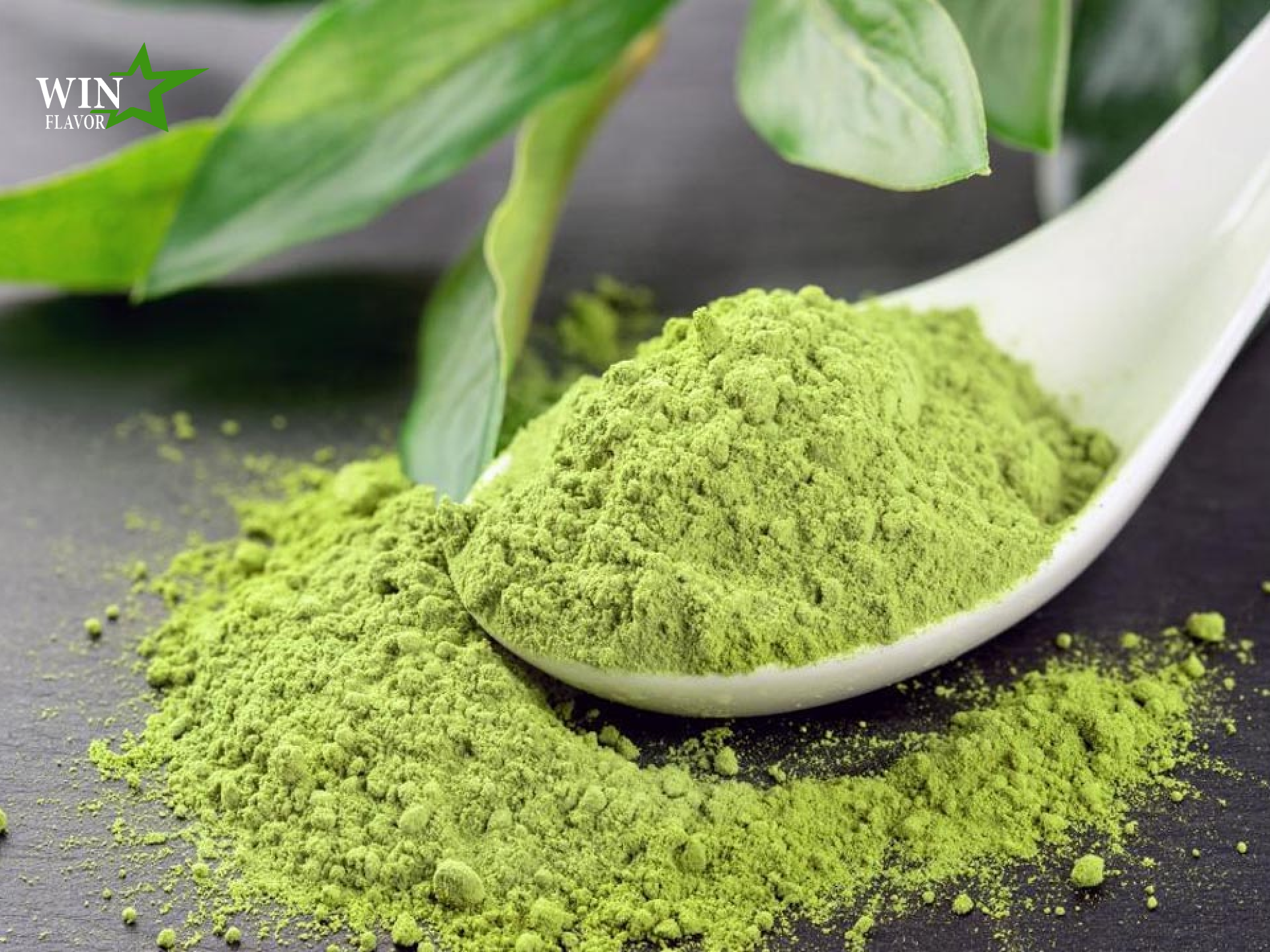 chiết xuất trà xanh dưới dạng bột