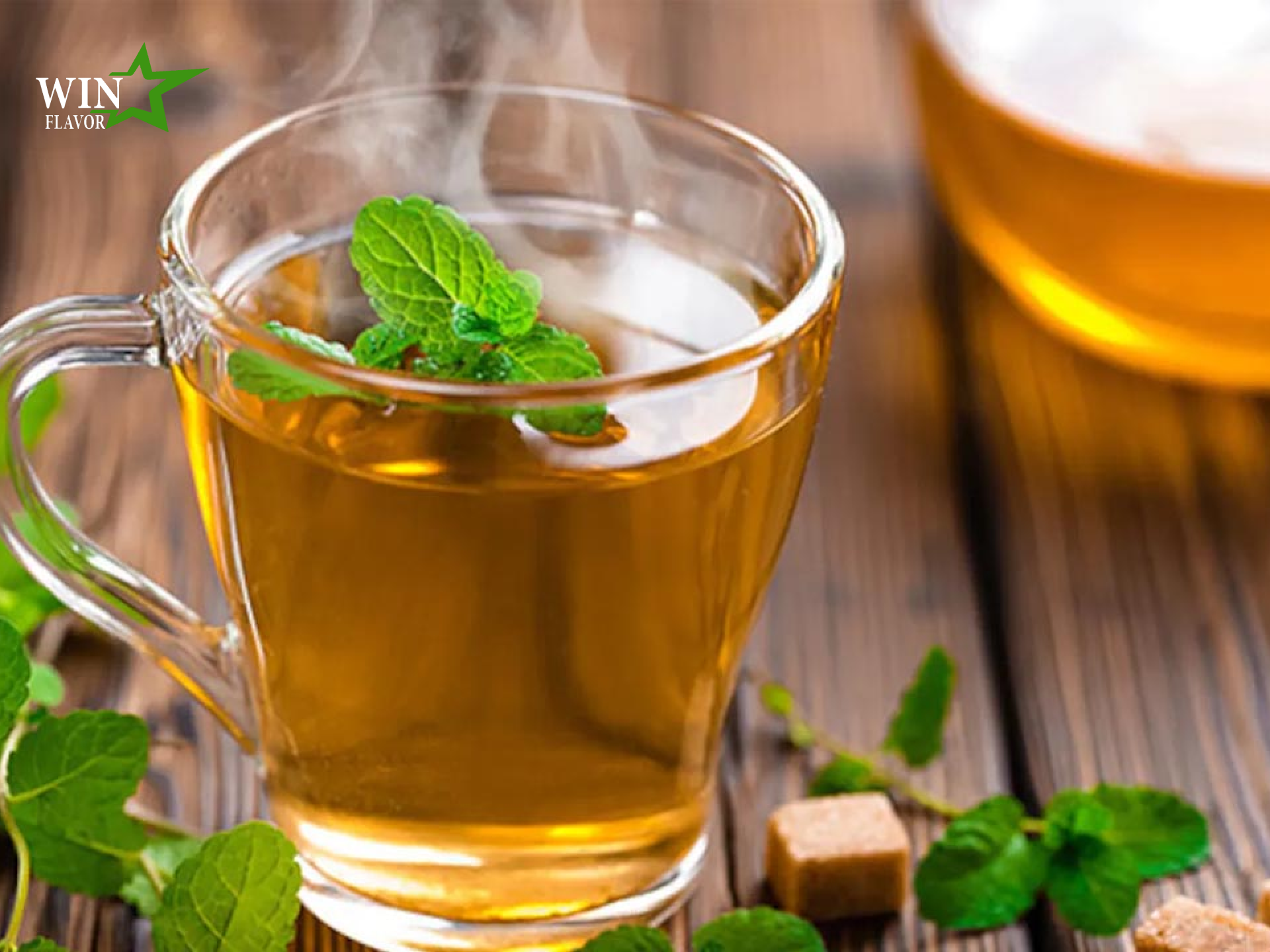 chiết xuất trà xanh trong mỹ phẩm dưới dạng lỏng