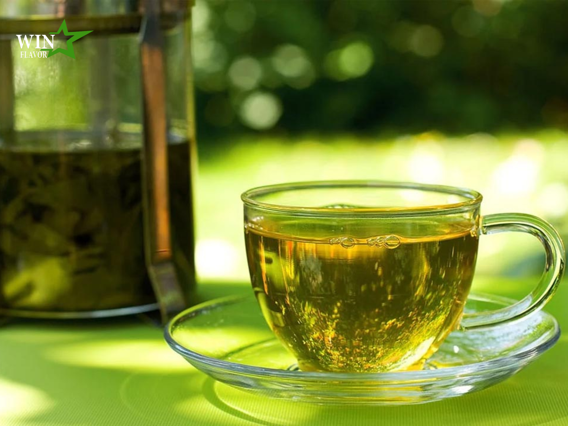 công dụng của cây trà xanh từ thiên nhiên giúp sảng khoái cơ thể
