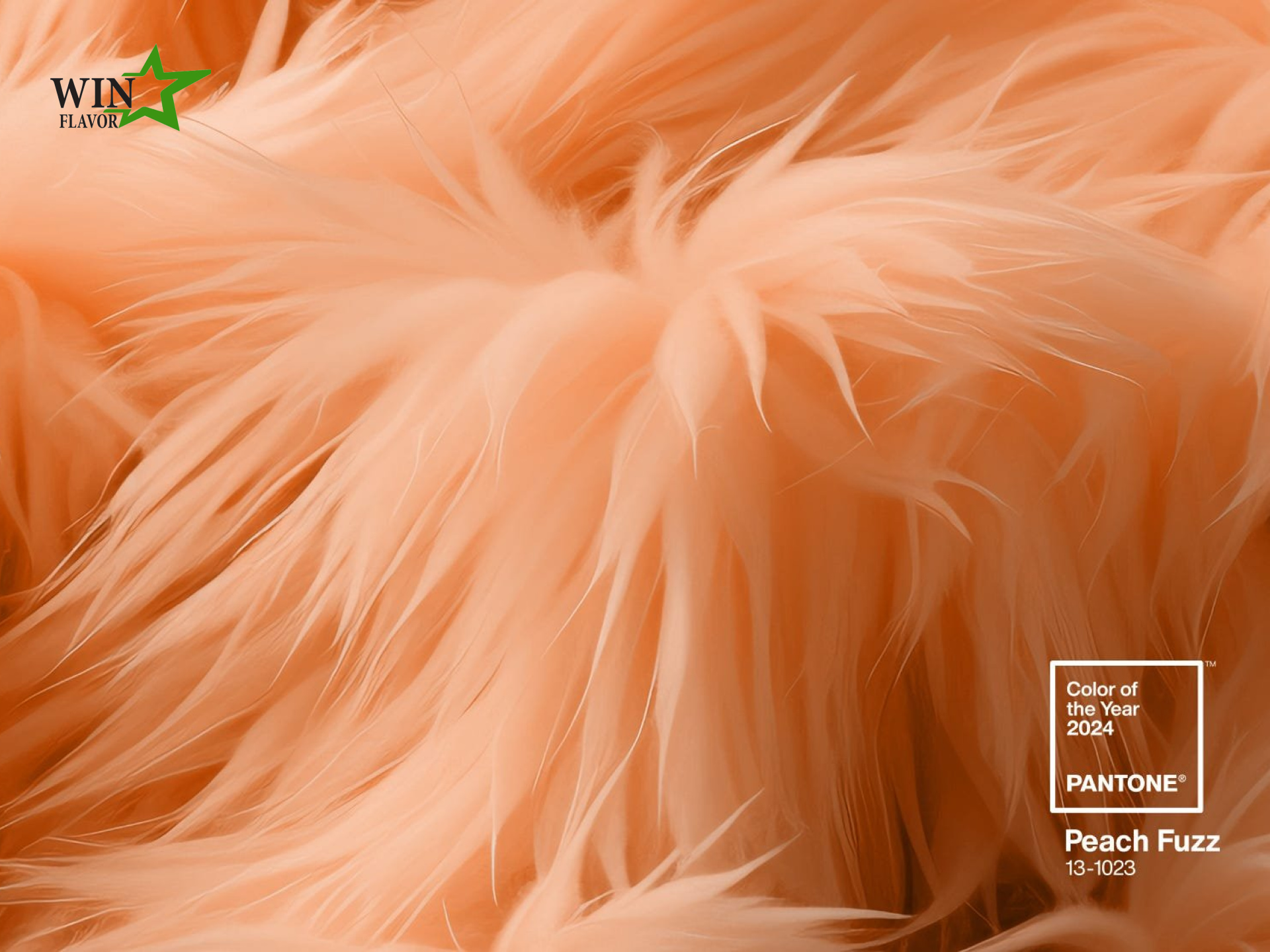 màu của năm Peach Fuzz