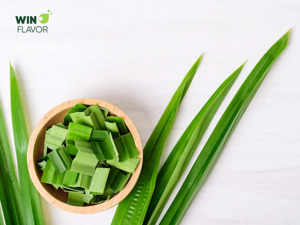 Cần lưu ý chọn lá dứa tươi khi pha chế cà phê lá dứa