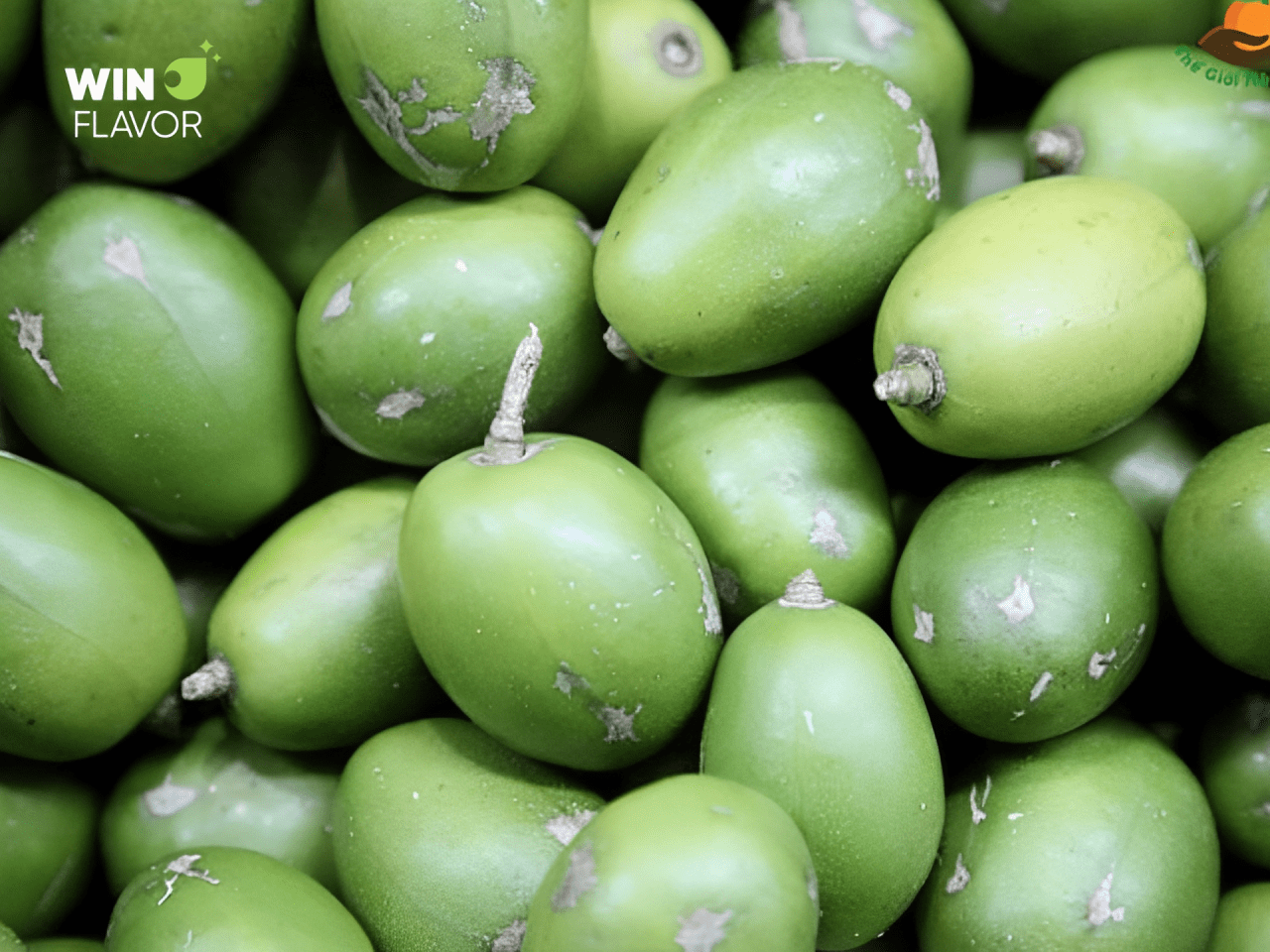 Cóc thực phẩm mang nhiều giá trị dinh dưỡng