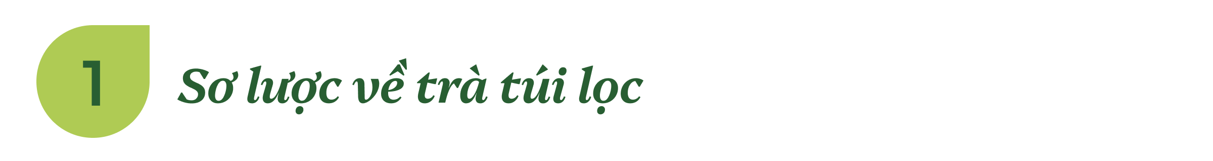 sơ lược về trà túi lọc