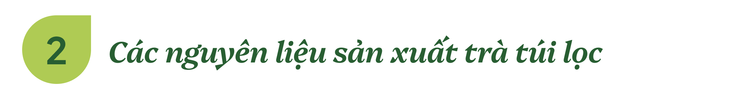 Các nguyên liệu sản xuất trà túi lọc