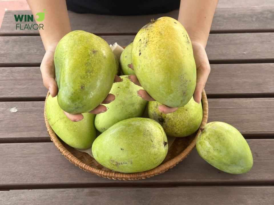 Xoài nhiều dinh dưỡng, được người Việt Nam ưa chuộng