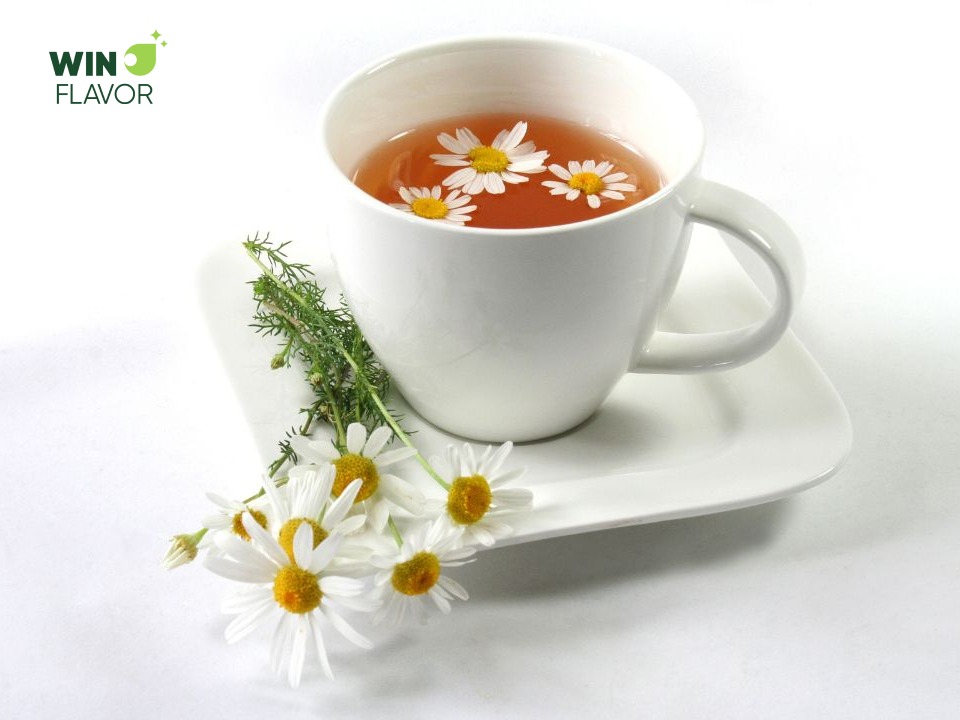 Trà hoa cúc với hương thơm nhẹ nhàng, giúp thư giãn tinh thần khá tốt