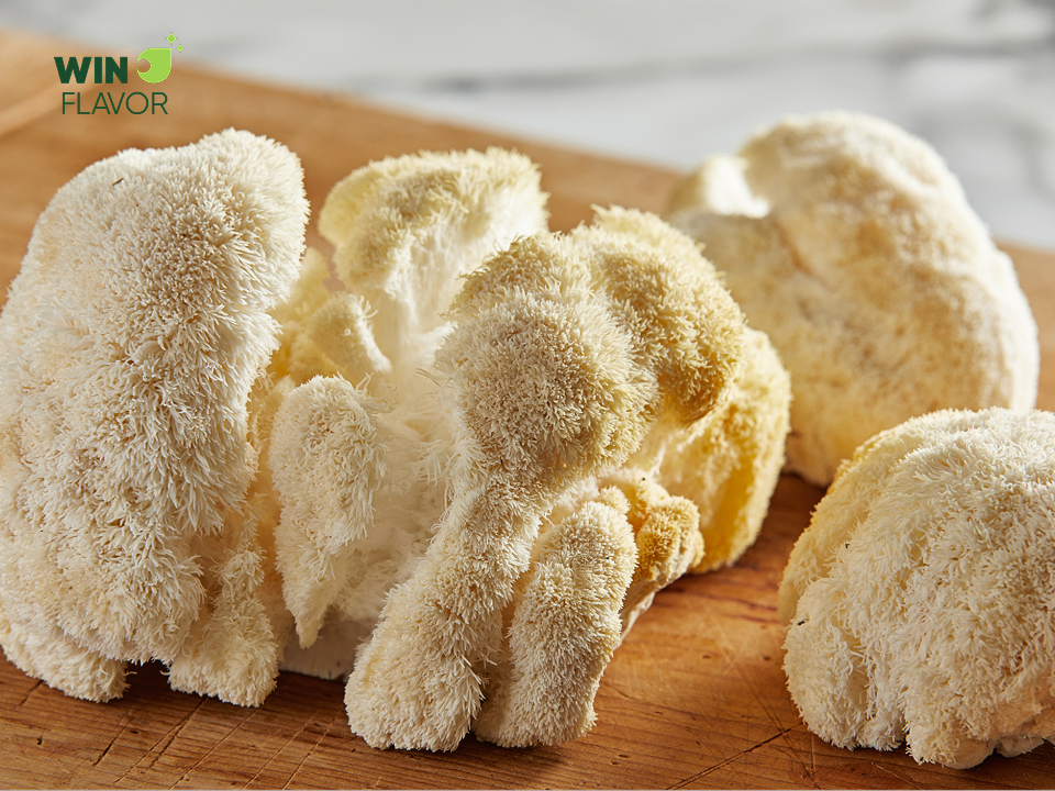 Nấm bờm sư tử (Lion's Mane) với hương vị thơm ngon, có khả năng hỗ trợ sức khỏe não bộ