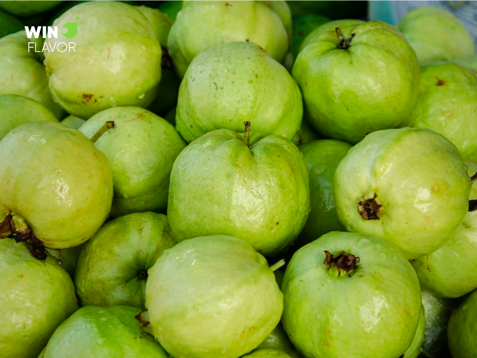 Hương liệu ổi thơm và có vị ngọt thanh