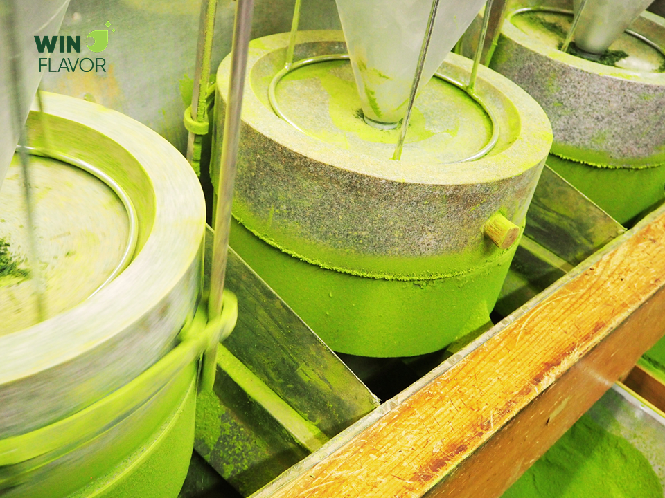 Ngành matcha đang dần chuyển đổi sang mô hình sản xuất bền vững