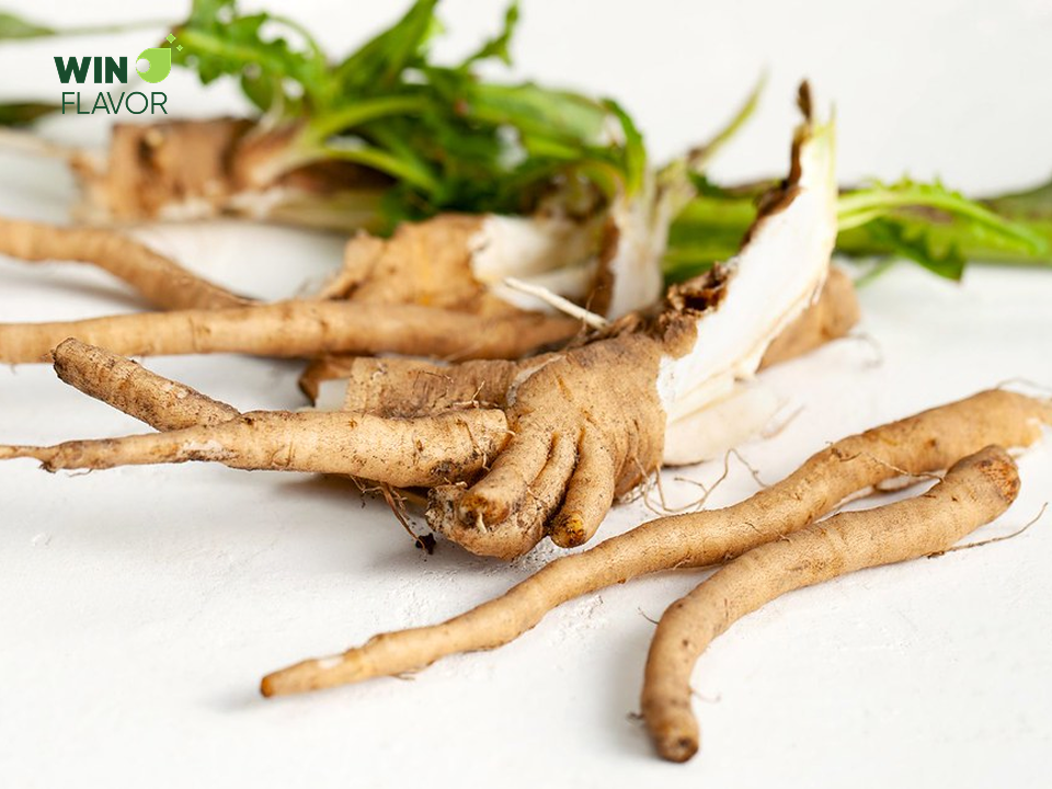 Rễ rau diếp cá giàu chất xơ và vitamin