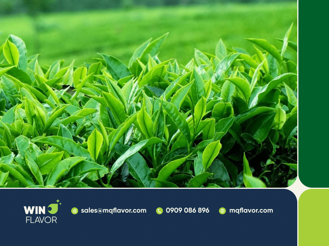 Thị trường xuất khẩu yêu cầu nguồn nguyên liệu đạt các chứng chỉ quốc tế