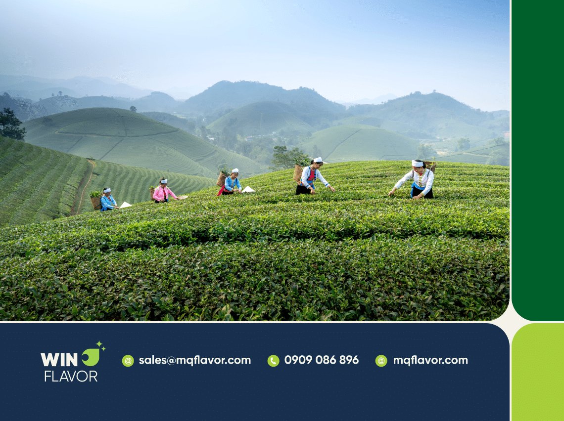 Trà Việt Nam đa dạng về thể loại