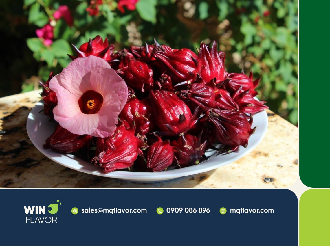 Chiết xuất bột Hibiscus hoa atiso đỏ tạo màu đỏ ruby tự nhiên đẹp mắt