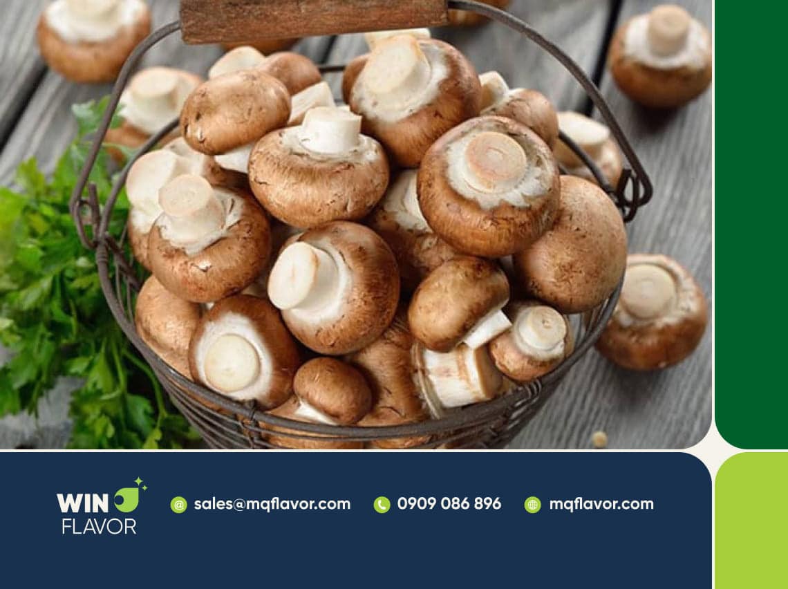 Chiết xuất nấm hương giàu Glutamate